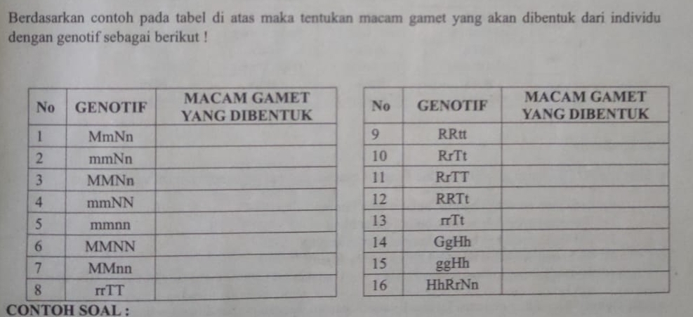 Berdasarkan contoh pada tabel di atas maka tentukan macam gamet yang akan dibentuk dari individu 
dengan genotif sebagai berikut ! 
CONTOH SOAL :