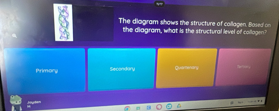 Solved: 11/17 The diagram shows the structure of collagen. Based on the ...