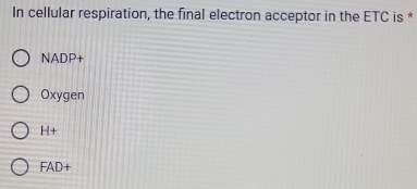 In cellular respiration, the final electron acceptor in the ETC is *
NADP+
Oxygen
H+
FAD+