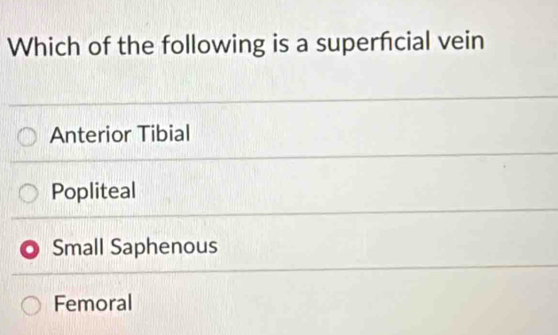 Which of the following is a superfcial vein
Anterior Tibial
Popliteal
Small Saphenous
Femoral