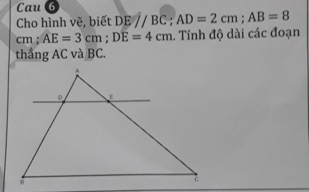 Cau 6 
Cho hình vẽ, biết DE//BC; AD=2cm; AB=8
cm; AE=3cm; DE=4cm. Tính độ dài các đoạn 
thẳng AC và BC.