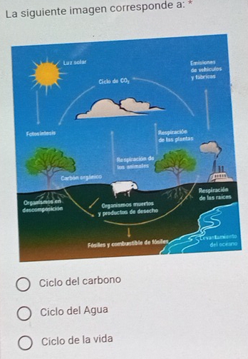 La siguiente imagen corresponde a: *
oo
Ciclo del carbono
Ciclo del Agua
Ciclo de la vida