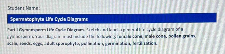 Student Name: 
Spermatophyte Life Cycle Diagrams 
Part I Gymnosperm Life Cycle Diagram. Sketch and label a general life cycle diagram of a 
gymnosperm. Your diagram must include the following: female cone, male cone, pollen grains, 
scale, seeds, eggs, adult sporophyte, pollination, germination, fertilization.