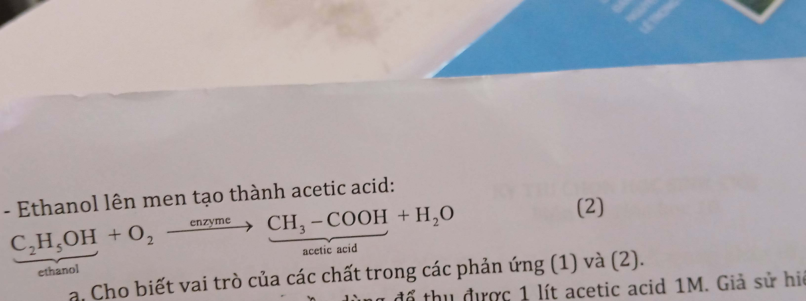 Ethanol lên men tạo thành acetic acid:
C_2H_5OH+O_2xrightarrow enzymeCH_3-COOH+H_2O
(2) 
ethanol acetic acid 
a. Cho biết vai trò của các chất trong các phản ứng (1) và (2). 
để thu được 1 lít acetic acid 1M. Giả sử hi