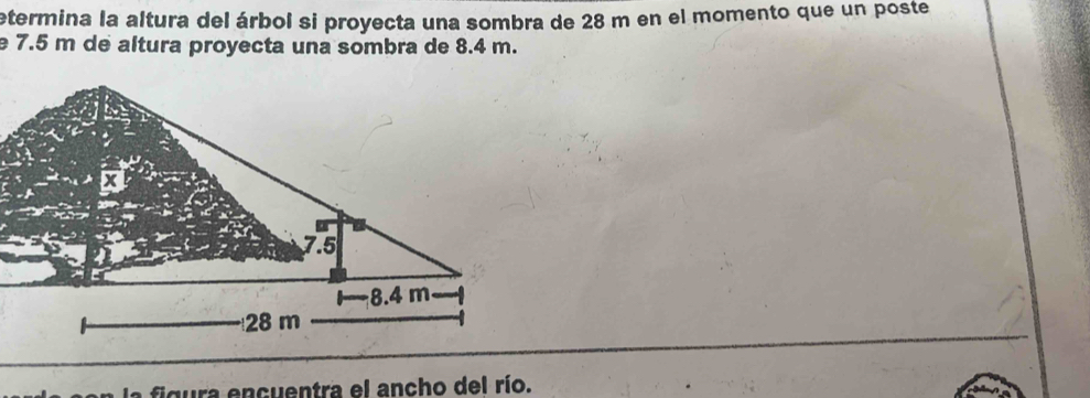 etermina la altura del árbol si proyecta una sombra de 28 m en el momento que un poste 
e 7.5 m de altura proyecta una sombra de 8.4 m. 
la figura encuentra el ancho del río.