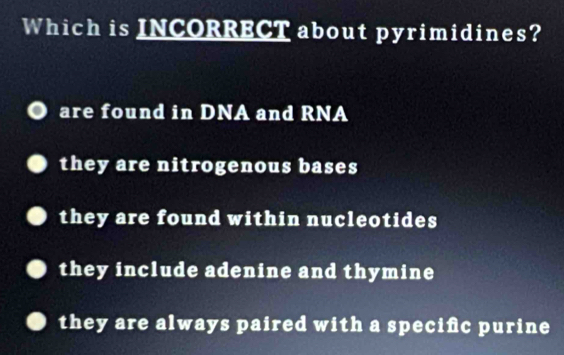 Which is INCORRECT about pyrimidines?
are found in DNA and RNA
they are nitrogenous bases
they are found within nucleotides
they include adenine and thymine
they are always paired with a specifc purine