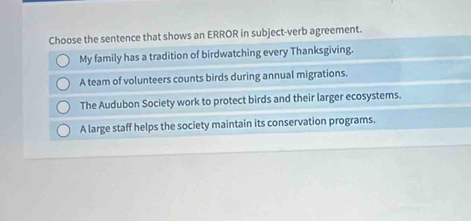 Choose the sentence that shows an ERROR in subject-verb agreement.
My family has a tradition of birdwatching every Thanksgiving.
A team of volunteers counts birds during annual migrations.
The Audubon Society work to protect birds and their larger ecosystems.
A large staff helps the society maintain its conservation programs.