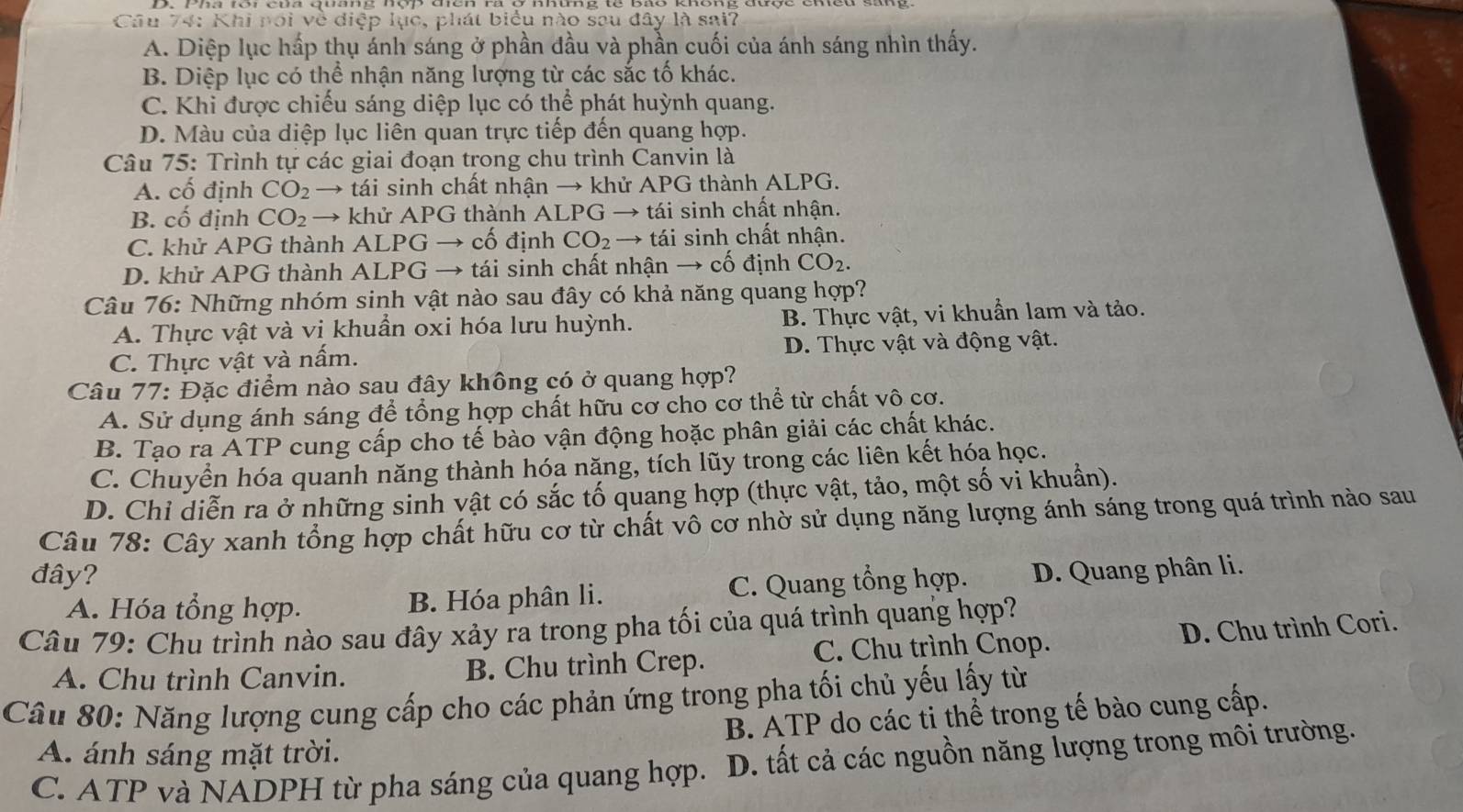 Khi nói về điệp lục, phát biểu nào sau đây là sai?
A. Diệp lục hấp thụ ánh sáng ở phần đầu và phần cuối của ánh sáng nhìn thấy.
B. Diệp lục có thể nhận năng lượng từ các sắc tố khác.
C. Khi được chiếu sáng diệp lục có thể phát huỳnh quang.
D. Màu của diệp lục liên quan trực tiếp đến quang hợp.
Câu 75: Trình tự các giai đoạn trong chu trình Canvin là
A. cố định CO_2 → tái sinh chất nhận → khử APG thành ALPG.
B. cố định CO_2 → khử APG thành ALPG → tái sinh chất nhận.
C. khử APG thành ALPG → cố định CO_2 → tái sinh chất nhận.
D. khử APG thành ALPG → tái sinh chất nhận → cố định CO_2.
Câu 76: Những nhóm sinh vật nào sau đây có khả năng quang hợp?
A. Thực vật và vi khuẩn oxi hóa lưu huỳnh. B. Thực vật, vi khuẩn lam và tảo.
C. Thực vật và nấm. D. Thực vật và động vật.
Câu 77: Đặc điểm nào sau đây không có ở quang hợp?
A. Sử dụng ánh sáng để tổng hợp chất hữu cơ cho cơ thể từ chất vô cơ.
B. Tạo ra ATP cung cấp cho tế bào vận động hoặc phân giải các chất khác.
C. Chuyển hóa quanh năng thành hóa năng, tích lũy trong các liên kết hóa học.
D. Chỉ diễn ra ở những sinh vật có sắc tố quang hợp (thực vật, tảo, một số vi khuẩn).
Câu 78: Cây xanh tổng hợp chất hữu cơ từ chất vô cơ nhờ sử dụng năng lượng ánh sáng trong quá trình nào sau
đây? D. Quang phân li.
A. Hóa tổng hợp. B. Hóa phân li. C. Quang tổng hợp.
Câu 79: Chu trình nào sau đây xảy ra trong pha tối của quá trình quang hợp?
A. Chu trình Canvin. B. Chu trình Crep. C. Chu trình Cnop. D. Chu trình Cori.
Câu 80: Năng lượng cung cấp cho các phản ứng trong pha tối chủ yếu lấy từ
B. ATP do các ti thể trong tế bào cung cấp.
A. ánh sáng mặt trời.
C. ATP và NADPH từ pha sáng của quang hợp.  D. tất cả các nguồn năng lượng trong môi trường.