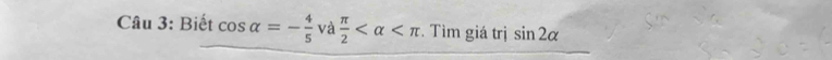 Biết cos alpha =- 4/5  và  π /2  . Tìm giá trị sin 2alpha