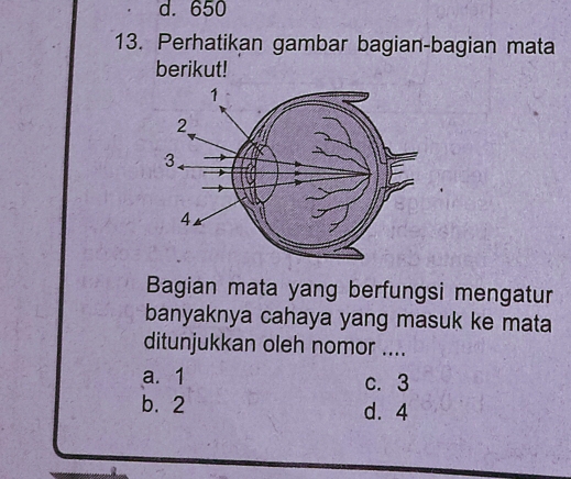 d. 650
13. Perhatikan gambar bagian-bagian mata
berikut!
Bagian mata yang berfungsi mengatur
banyaknya cahaya yang masuk ke mata
ditunjukkan oleh nomor ....
a. 1 c. 3
b. 2 d. 4