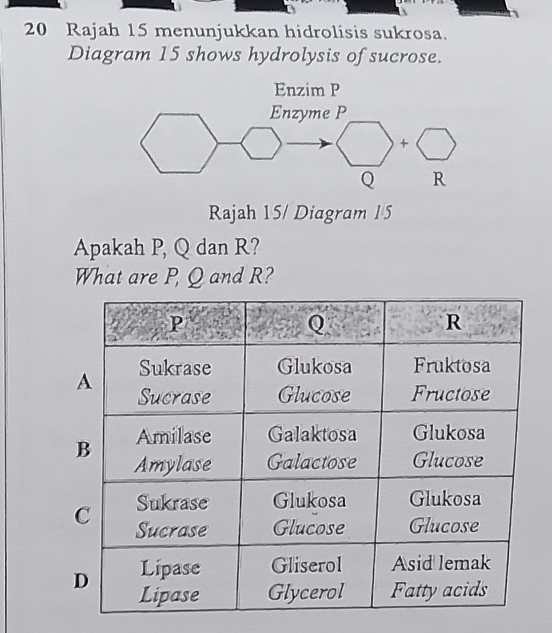 Rajah 15 menunjukkan hidrolisis sukrosa.
Diagram 15 shows hydrolysis of sucrose.
Rajah 15/ Diagram 15
Apakah P, Q dan R?
What are P, Q and R?