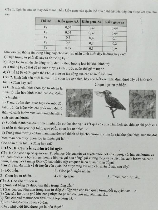 Nghiên cứu sự thay đổi thành phần kiểu gene của quần thể qua 5 thế hệ liên tiếp thu được kết quả như
sau:
Dựa vào các thôbiết các nhận định dưới đây là đúng hay sai?
a) Hiện tượng tự phối đã xảy ra từ thế hệ F_3
b) Chọn lọc tự nhiên tác động từ F_3 đến F4 theo hướng loại bỏ kiểu hình trội.
c) Ở thế hệ F_3 có thể đã có hiện tượng kích thước quần thế giảm mạnh.
d) Ở thế hệ F_1 và F_2 quần thể không chịu sự tác động của các nhân tố tiến hóa.
Câu 2. Hình ảnh bên dưới là quá trình chọn lọc tự nhiên, hãy cho biết các nhận định dưới đây về hình ảnh
trên là đúng hay sai? Chọn lọc tự nhiên
a) Hình ảnh cho biết chọn lọc tự nhiên là
nhân tổ tiến hóa hình thành các đặc điểm
thích nghi.
b) Dạng bướm đen xuất hiện do một đột
biến trội đa hiệu: vừa chi phối màu đen ở
thân và cánh bướm vừa làm tăng khả năng
sinh sản của bướm.
c) Sự hình thành đặc điểm thích nghi trên cơ thể sinh vật là kết quả của quá trình lịch sử, chịu sự chi phối của
ba nhân tố chủ yếu: đột biến, giao phối, chọn lọc tự nhĩên.
d) Trong môi trường có bụi than, màu đen trở thành có lợi cho bướm vì chim ăn sâu khó phát hiện, nên thể đột
biến màu đen được chọn lọc tự nhiên giữ lại.
Các nhận định trên là đúng hay sai?
PHÀN III. Câu trắc nghiệm trã lời ngắn
Câu 1: Cho các cặp cơ quan sau: Tuyến nọc độc của rắn và tuyến nước bọt của người, vòi hút của bướm và
đôi hàm dưới của bọ cạp, gai hoàng liên và gai hoa hồng, gai xương rồng và lá cây lủả, cánh bướm và cánh
chim, mang cá và mang tôm. Có bao nhiêu cặp cơ quan là cơ quan tương đồng?
Câu 2. Tính đa hình về di truyền của quần thể được tăng lên nhờ các nhân tố nào sau đây?
1 - Đột biển. 2 - Giao phối ngẫu nhiên.
3 - Chọn lọc tự nhiên. 4 - Nhập gene. 5 - Phiêu bạt di truyền.
Câu 3. Cho các dữ liệu sau:
(1) Sinh vật bằng đá được tìm thấy trong lòng đất./
(2) Xác của các Pharaon trong kim tự tháp Ai Cập vẫn còn bảo quản tương đối nguyên vẹn.
(3) Xác sâu bọ được phủ kín trong nhựa hồ phách còn giữ nguyên màu sắc.
(4) Xác của voi mamut còn tươi trong lớp băng hà. 
(5) Rìu bằng đá của người cổ đại.
Có bao nhiêu dữ liệu được gọi là hóa thạch?