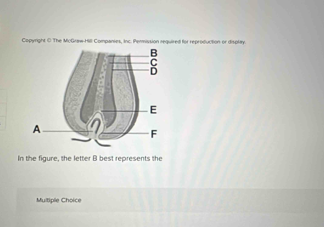 Copyright @ The McGraw-Hill Companies, Inc. Permission required for reproduction or display.
In the figure, the letter B best represents the
Multiple Choice