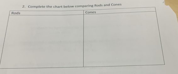 Rods and Cones