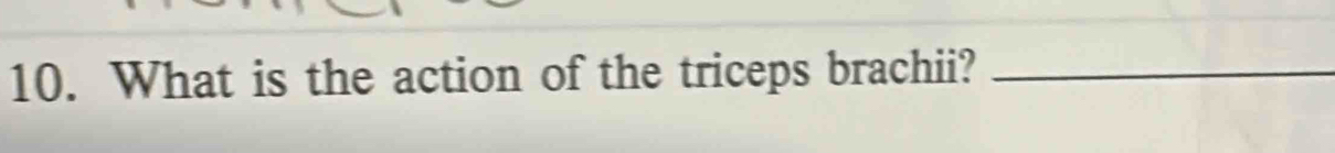 What is the action of the triceps brachii?_