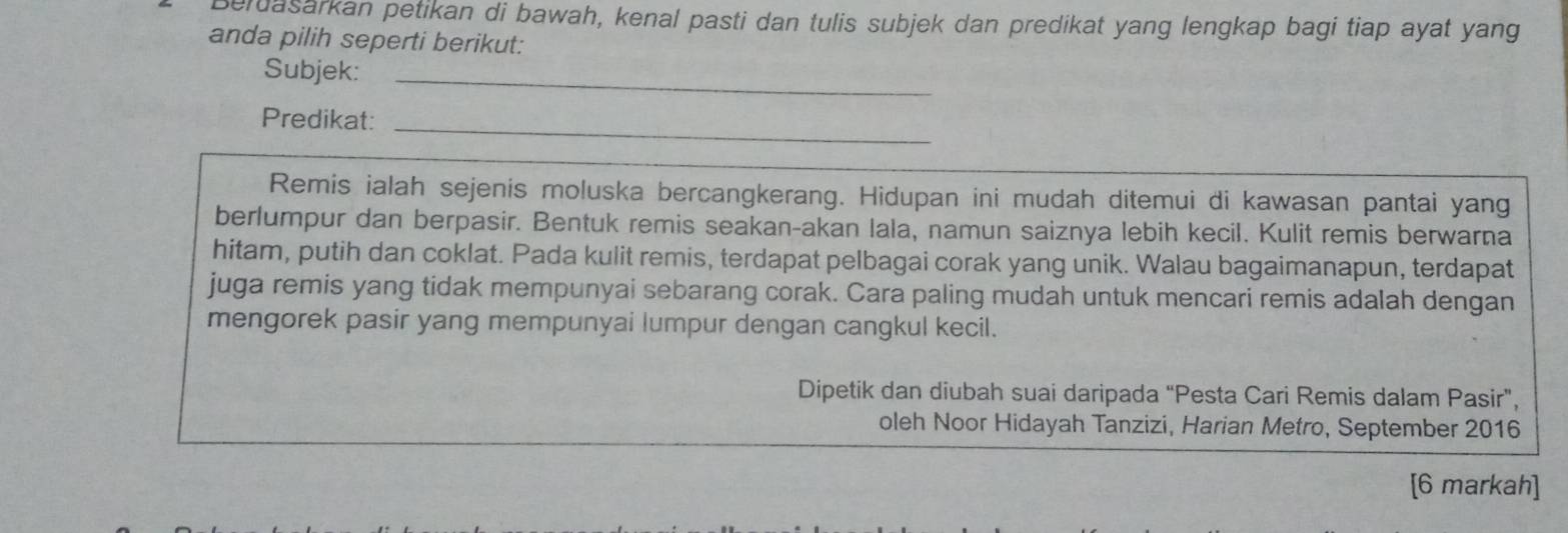 Beruasarkan petikan di bawah, kenal pasti dan tulis subjek dan predikat yang lengkap bagi tiap ayat yang 
anda pilih seperti berikut: 
Subjek:_ 
Predikat:_ 
Remis ialah sejenis moluska bercangkerang. Hidupan ini mudah ditemui di kawasan pantai yang 
berlumpur dan berpasir. Bentuk remis seakan-akan lala, namun saiznya lebih kecil. Kulit remis berwarna 
hitam, putih dan coklat. Pada kulit remis, terdapat pelbagai corak yang unik. Walau bagaimanapun, terdapat 
juga remis yang tidak mempunyai sebarang corak. Cara paling mudah untuk mencari remis adalah dengan 
mengorek pasir yang mempunyai lumpur dengan cangkul kecil. 
Dipetik dan diubah suai daripada “Pesta Cari Remis dalam Pasir", 
oleh Noor Hidayah Tanzizi, Harian Metro, September 2016 
[6 markah]