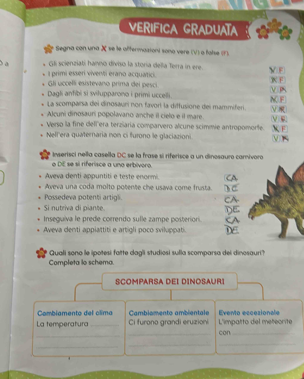 VERIFICA GRADUATA
Segna con una X se le affermazioni sono vere (V) o false (F).
a 
Gli scienziati hanno diviso la storia della Terra in ere.
VE
I primi esseri viventi erano acquatici,
X E
Gli uccelli esistevano prima dei pesci.
ν
Dagli anfibi si svilupparono i primi uccelli.
M F
La scomparsa dei dinosauri non favorì la diffusione dei mammiferi. V
Alcuni dinosauri popolavano anche il cielo e il mare.
ⅤR
Verso la fine dell’era terziaria comparvero alcune scimmie antropomorfe. N F
Nell'era quaternaria non ci furono le glaciazioni.
V
Inserisci nella casella DC se la frase si riferisce a un dinosauro carnivoro
o DE se si riferisce a uno erbivoro.
Aveva denti appuntiti e teste enormi.
Aveva una coda molto potente che usava come frusta.
Possedeva potenti artigli.
Si nutriva di piante.
DE
Inseguiva le prede correndo sulle zampe posteriori. a
Aveva denti appiattiti e artigli poco sviluppati. DE
Quali sono le ipotesi fatte dagli studiosi sulla scomparsa dei dinosauri?
Completa lo schema.
SCOMPARSA DEI DINOSAURI
Cambiamento del clima Cambiamento ambientale Evento eccezionale
La temperatura _Ci furono grandi eruzioni L'impatto del meteorite
_
_con_
_
_
_