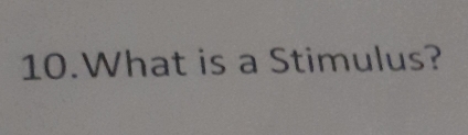 What is a Stimulus?