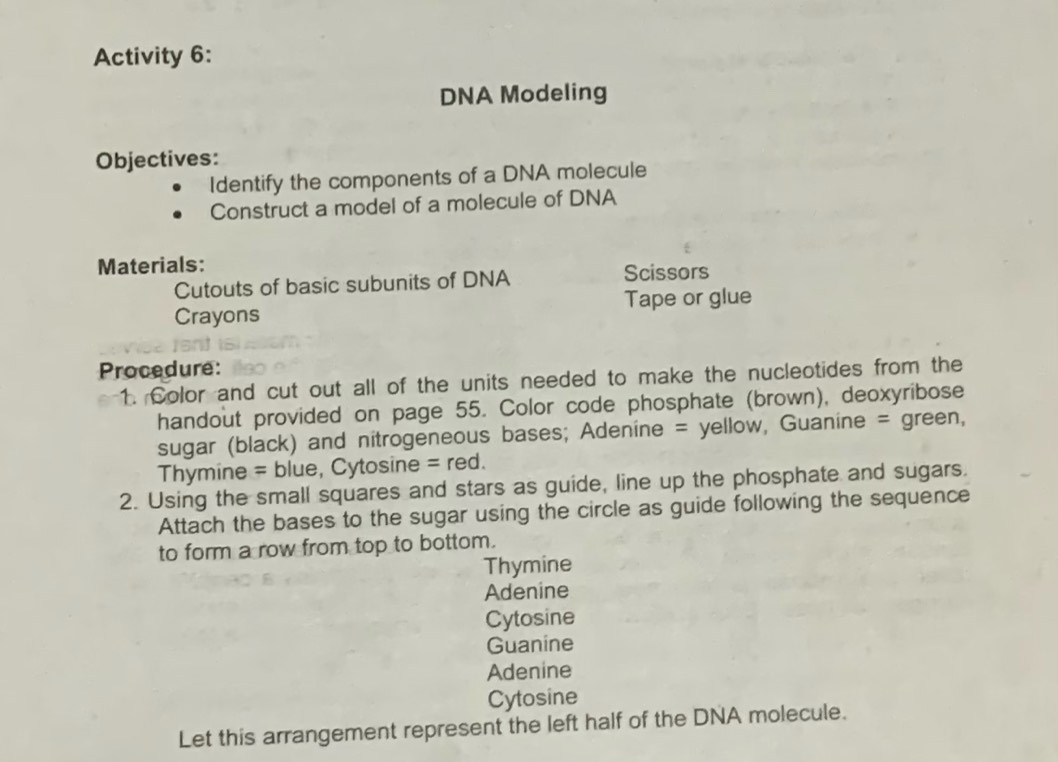 Solved: Activity 6: DNA Modeling Objectives: Identify the components of ...