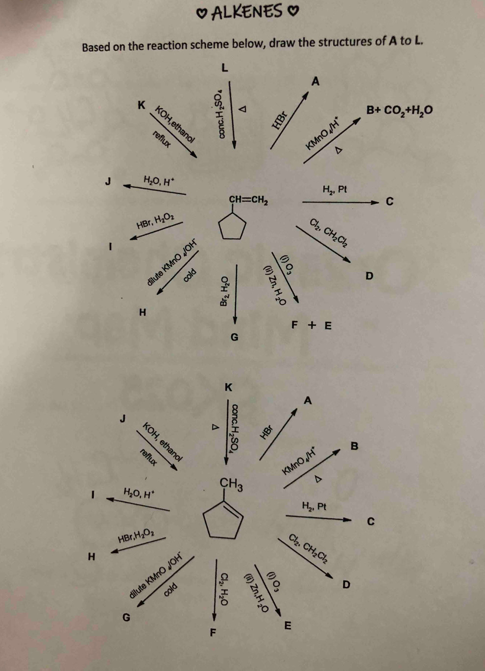 ALKENES O
Based on the reaction scheme below, draw the structures of A to L.
L
A
◁ B+CO_2+H_2O
KMnO₄/H
D
J H_2O,H^+
H_2,Pt
CH=CH_2
C
HBr, ,H_2O_2
Cl_2,CH_2Cl_2
1 diluteKMnO_4/OH^-
Cald
10
D
beginarrayr Q, 1/2   1/6 endarray  1/10 
H
F+E
G