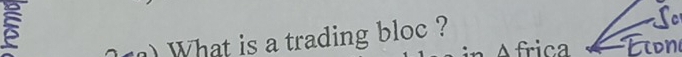 ) What is a trading bloc ?
A frica Lioni