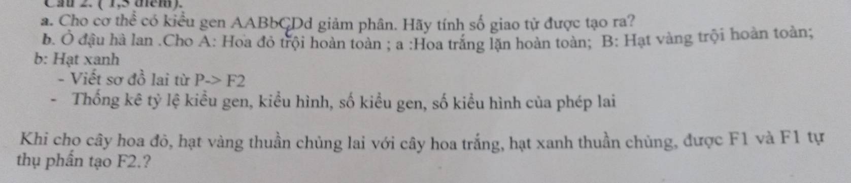 Cầu 2. ( 1,5 đém). 
a. Cho cơ thể có kiểu gen AABbCDd giảm phân. Hãy tính số giao tử được tạo ra? 
b. Ở đậu hà lan .Cho A: Hoa đỏ trội hoàn toàn ; a :Hoa trắng lặn hoàn toàn; B: Hạt vàng trội hoàn toàn; 
b: Hạt xanh 
- Viết sơ đồ lai từ Pto F2
- Thống kê tỷ lệ kiểu gen, kiểu hình, số kiểu gen, số kiểu hình của phép lai 
Khi cho cây hoa đỏ, hạt vàng thuần chủng lai với cây hoa trắng, hạt xanh thuần chủng, được F1 và F1 tự 
thụ phần tạo F2.?