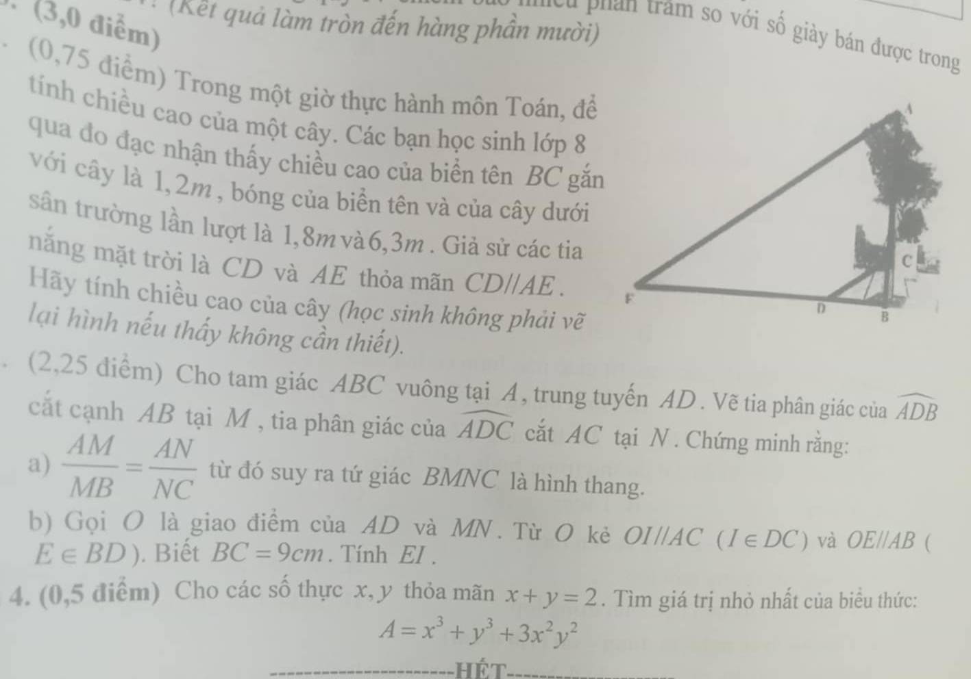 (Kết quả làm tròn đến hàng phần mười) 
(3,0 điểm) 
hiều phán trấm so với số giày bán được trong 
(0,75 điểm) Trong một giờ thực hành môn Toán, để 
tính chiều cao của một cây. Các bạn học sinh lớp 8 
qua đo đạc nhận thấy chiều cao của biển tên BC gắn 
với cây là 1, 2m , bóng của biển tên và của cây dưới 
sân trường lần lượt là 1,8m và6, 3m. Giả sử các tia 
nắng mặt trời là CD và AE thỏa mãn CDparallel AE. 
Hãy tính chiều cao của cây (học sinh không phải vẽ 
lại hình nếu thấy không cần thiết). 
(2,25 điểm) Cho tam giác ABC vuông tại A, trung tuyến AD. Vẽ tia phân giác của widehat ADB
cắt cạnh AB tại M , tia phân giác của widehat ADC cắt AC tại N. Chứng minh rằng: 
a)  AM/MB = AN/NC  từ đó suy ra tứ giác BMNC là hình thang. 
b) Gọi O là giao điểm của AD và MN. Từ O kẻ 「 OIparallel AC (I∈ DC) và OEparallel AB (
E∈ BD). Biết BC=9cm. Tính EI. 
4. (0,5 điểm) Cho các số thực x, y thỏa mãn x+y=2. Tìm giá trị nhỏ nhất của biểu thức:
A=x^3+y^3+3x^2y^2
Hết