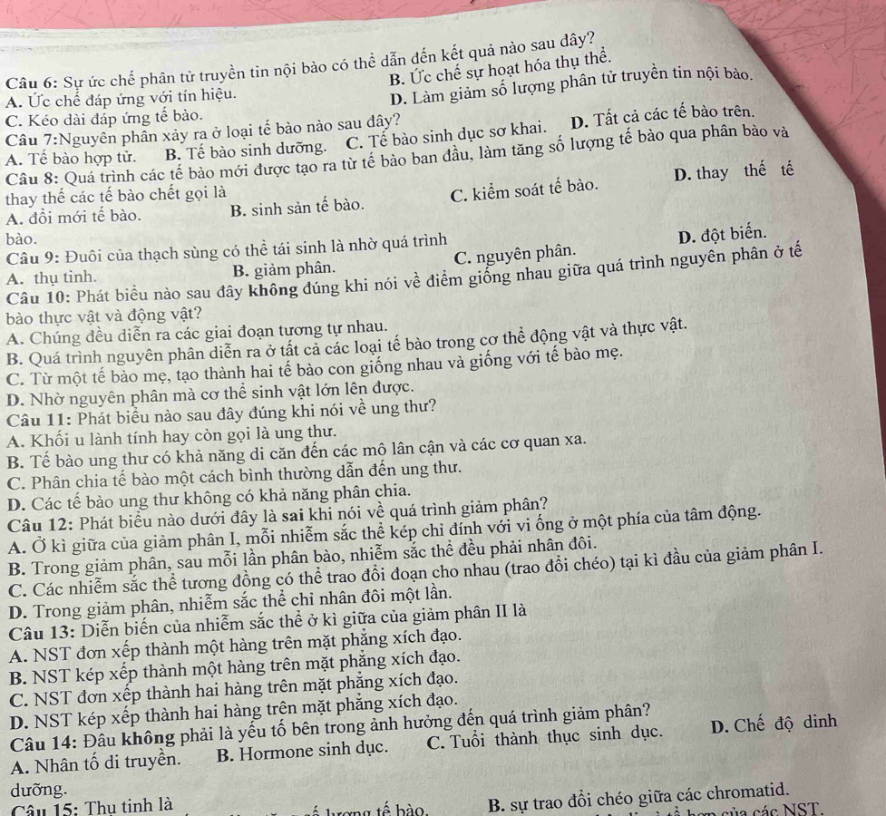 Sự ức chế phân tử truyền tin nội bào có thể dẫn đến kết quả nào sau đây?
B. Ức chế sự hoạt hóa thụ thể.
A. Ức chế đáp ứng với tín hiệu.
D. Làm giảm số lượng phân tử truyền tin nội bào.
C. Kéo dài đáp ứng tế bào.
Câu 7:Nguyên phần xảy ra ở loại tế bào nào sau đây?
A. Tế bào hợp tử. B. Tế bào sinh dưỡng. C. Tế bào sinh dục sơ khai. D. Tất cả các tế bào trên.
Câu 8: Quá trình các tế bảo mới được tạo ra từ tế bào ban đầu, làm tăng số lượng tế bào qua phân bảo và
A. đổi mới tế bào. B. sinh sản tế bào. C. kiểm soát tế bào. D. thay thế tế
thay thế các tế bào chết gọi là
bào.
Câu 9: Đuôi của thạch sùng có thể tái sinh là nhờ quá trình
A. thụ tinh. B. giảm phân. C. nguyên phân. D. đột biển.
Câu 10: Phát biểu nào sau đây không đúng khi nói về điểm giống nhau giữa quá trình nguyên phân ở tế
bào thực vật và động vật?
A. Chúng đều diễn ra các giai đoạn tương tự nhau.
B. Quá trình nguyên phân diễn ra ở tất cả các loại tế bào trong cơ thể động vật và thực vật.
C. Từ một tế bào mẹ, tạo thành hai tế bào con giống nhau và giống với tế bào mẹ.
D. Nhờ nguyên phân mà cơ thể sinh vật lớn lên được.
Câu 11: Phát biểu nào sau đây đúng khi nói về ung thư?
A. Khối u lành tính hay còn gọi là ung thư.
B. Tế bào ung thư có khả năng di căn đến các mô lân cận và các cơ quan xa.
C. Phân chia tế bào một cách bình thường dẫn đến ung thư.
D. Các tế bào ung thư không có khả năng phân chia.
Câu 12: Phát biểu nào dưới đây là sai khi nói về quá trình giảm phân?
A. Ở kì giữa của giảm phân I, mỗi nhiễm sắc thể kép chỉ đính với vi ống ở một phía của tâm động.
B. Trong giảm phân, sau mỗi lần phân bào, nhiễm sắc thể đều phải nhân đôi.
C. Các nhiễm sắc thể tương đồng có thể trao đồi đoạn cho nhau (trao đổi chéo) tại kì đầu của giảm phân I.
D. Trong giảm phân, nhiễm sắc thể chỉ nhân đôi một lần.
Câu 13: Diễn biến của nhiễm sắc thể ở kì giữa của giảm phân II là
A. NST đơn xếp thành một hàng trên mặt phẳng xích đạo.
B. NST kép xếp thành một hàng trên mặt phẳng xích đạo.
C. NST đơn xếp thành hai hàng trên mặt phẳng xích đạo.
D. NST kép xếp thành hai hàng trên mặt phẳng xích đạo.
Câu 14: Đâu không phải là yếu tố bên trong ảnh hưởng đến quá trình giảm phân?
A. Nhân tố di truyền. B. Hormone sinh dục. C. Tuổi thành thục sinh dục. D. Chế độ dinh
dưỡng.
Câu 15: Thu tinh là
B. sự trao đổi chéo giữa các chromatid.
của các NST