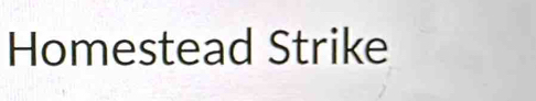 Homestead Strike