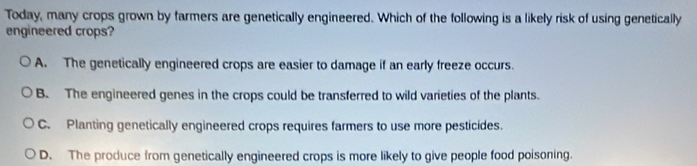 Today, many crops grown by farmers are genetically engineered. Which of the following is a likely risk of using genetically
engineered crops?
A. The genetically engineered crops are easier to damage if an early freeze occurs.
B. The engineered genes in the crops could be transferred to wild varieties of the plants.
C. Planting genetically engineered crops requires farmers to use more pesticides.
D. The produce from genetically engineered crops is more likely to give people food poisoning.