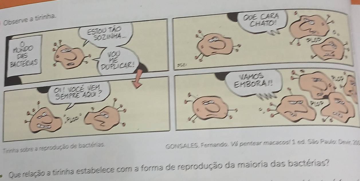 Observe a tirinha. 
ODE CARA 
CH4T0! 
ESIOu tão 
SOZINHA 
BACTERIAS 
DUPLICAR! 
VAMOS 
O1! VoCé VEM 
EMBORA!! 
Sempre aqui ? 
Tirinha sobre a reprodução de bactérias. GONSALES, Fernando. Vá pentear macacoel 1 ed. São Paulo: Devir, 21 
Que relação a tirinha estabelece com a forma de reprodução da maioria das bactérias?