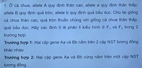 Ở cà chua, allele A quy định thân cao, allele a quy định thân thấp; 
allele B quy định quả tròn, allele b quy định quả bầu dục. Cho lai giống 
cà chua thân cao, quả tròn thuần chủng với giống cà chua thân thắp, 
quả bầu dục. Hãy xác định tỉ lệ phân li kiểu hình ở F_1 và F_2 trong 2
trường hợp: 
Trường hợp 1: Hai cặp gene Aa và Bb nằm trên 2 cặp NST tương đồng 
khác nhau. 
Trường hợp 2: Hai cập gene Aa và Bb cùng nằm trên một cập NST 
tương đồng.