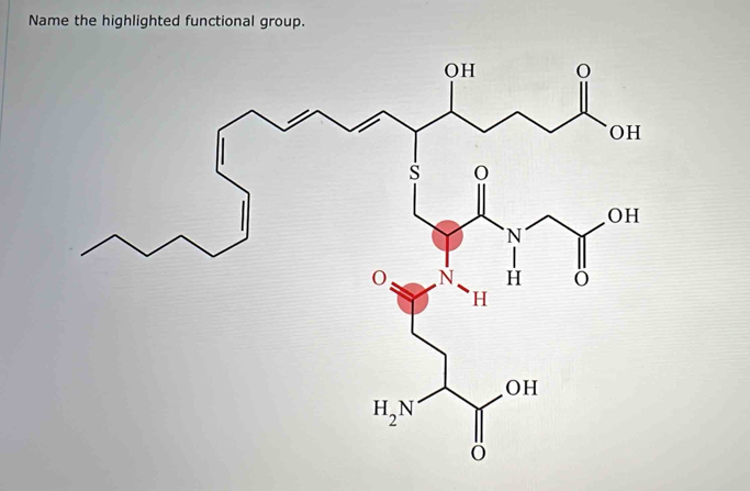 Name the highlighted functional group.