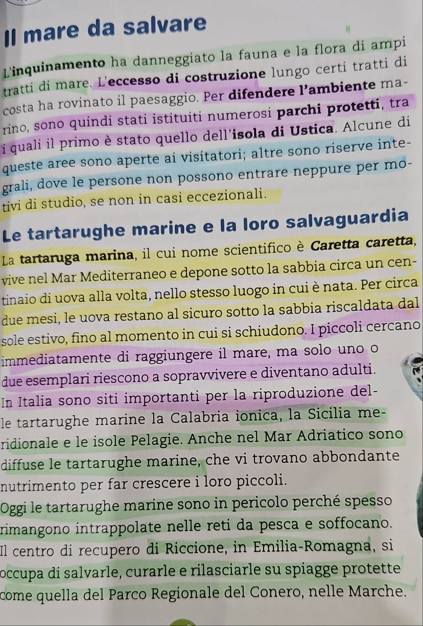 Il mare da salvare
Linquinamento ha danneggiato la fauna e la flora dí ampi
tratti di mare. L'eccesso di costruzione lungo certi tratti di
costa ha rovinato il paesaggio. Per difendere l’ambiente ma-
rino, sono quindi stati istituiti numerosi parchi protetti, tra
i quali il primo è stato quello dell’isola di Ustica. Alcune di
queste aree sono aperte ai visitatori; altre sono riserve inte-
grali, dove le persone non possono entrare neppure per mo-
tivi di studio, se non in casi eccezionali.
Le tartarughe marine e la loro salvaguardia
La tartaruga marina, il cui nome scientifico è Caretta caretta,
vive nel Mar Mediterraneo e depone sotto la sabbia circa un cen-
tinaio di uova alla volta, nello stesso luogo in cui è nata. Per circa
due mesi, le uova restano al sicuro sotto la sabbia riscaldata dal
sole estivo, fino al momento in cui si schiudono. I piccoli cercano
immediatamente di raggiungere il mare, ma solo uno o
due esemplari riescono a sopravvivere e diventano adulti.
In Italia sono siti importanti per la riproduzione del-
le tartarughe marine la Calabria ionica, la Sicilia me-
ridionale e le isole Pelagie. Anche nel Mar Adriatico sono
diffuse le tartarughe marine, che vi trovano abbondante
nutrimento per far crescere i loro piccoli.
Oggi le tartarughe marine sono in pericolo perché spesso
rimangono intrappolate nelle reti da pesca e soffocano.
Il centro di recupero di Riccione, in Emilia-Romagna, si
occupa di salvarle, curarle e rilasciarle su spiagge protette
come quella del Parco Regionale del Conero, nelle Marche.