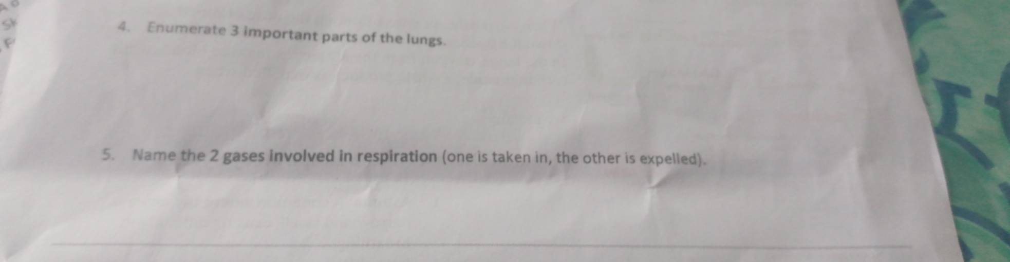 a 
4. Enumerate 3 important parts of the lungs. 
F 
5. Name the 2 gases involved in respiration (one is taken in, the other is expelled). 
_