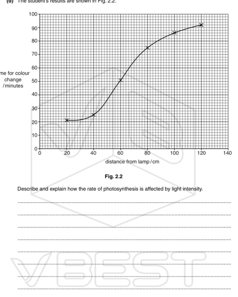 The student's results are shown in Fig. 2.2.
100
90
80
70
60
me for colour 
change 50
/minutes
40
30
20
10
0
0 20 40 60 80 100 120 140
distance from lamp/cm 
Fig. 2.2 
Describe and explain how the rate of photosynthesis is affected by light intensity. 
_ 
_ 
_ 
_ 
_ 
_ 
_ 
_