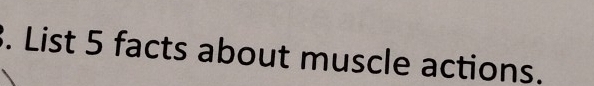List 5 facts about muscle actions.
