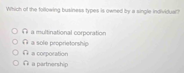 Which of the following business types is owned by a single individual?
a multinational corporation
a sole proprietorship
a corporation
a partnership