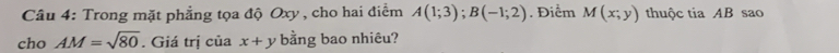 Trong mặt phẳng tọa độ Oxy, cho hai điểm A(1;3); B(-1;2). Điểm M(x;y) thuộc tia AB sao 
cho AM=sqrt(80). Giá trị của x+y bằng bao nhiêu?