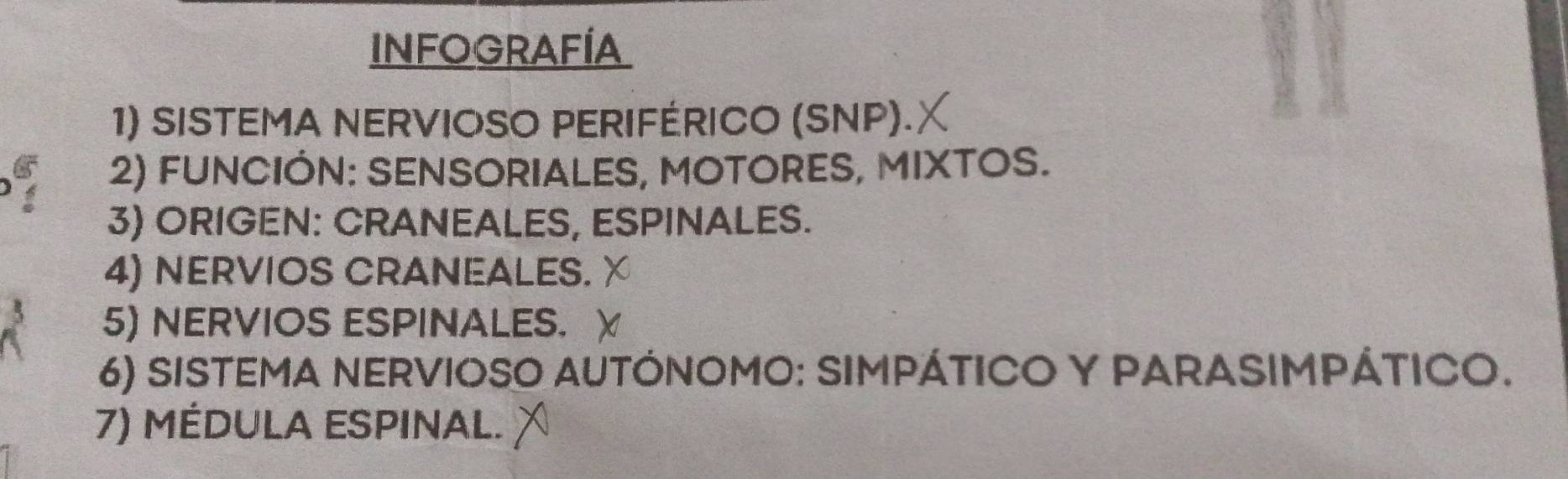 InfograFíA 
1) SISTEMA NERVIOSO PERIFÉRICO (SNP). 
2) FUNCIÓN: SENSORIALES, MOTORES, MIXTOS. 
3) ORIGEN: CRANEALES, ESPINALES. 
4) NERVIOS CRANEALES. 
3 5) NERVIOS ESPINALES. 
6) SISTEMA NERVIOSO AUTÓNOMO: SIMPÁTICO Y PARASIMPÁTICO. 
7) MÉDULa ESPInal.