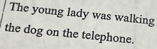 The young lady was walking 
the dog on the telephone.