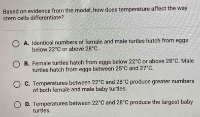 Based on evidence from the model, how does temperature affect the way
stem cells differentiate?
A. Identical numbers of female and male turtles hatch from eggs
below 22°C or above 28°C.
B. Female turtles hatch from eggs below 22°C or above 28°C. Male
turtles hatch from eggs between 25°C and 27°C.
C. Temperatures between 22°C and 28°C produce greater numbers
of both female and male baby turtles.
D. Temperatures between 22°C and 28°C produce the largest baby
turtles.