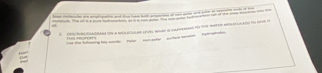 Soap molecules are amphipathic and thus have both properties of non-polar and polar at opposie andt a we 
molecule. The oll is a pure hydrocarbon, no it is not plof he non polar hydrocarbon tail of the soap dissolves into the 
oll. 
2. DESCRIBE/DIAGRAM ON A MOLECULAR LEVEL WHAT IS HAPPENING TO THE WATER MOLECULE(S) TO GIVE IT 
Use the following key words: Polar non-polar surface tension hydrophobic. 
THIS PROPERTY 
Nan Dat 
Porl