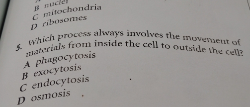 B nucle
D ribosomes C mitochondria
5. Which process always involves the movement of
materials from inside the cell to outside the cell?
B exocytosis A phagocytosis
C endocytosis
D osmosis