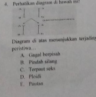 Perhatikan diagram di bawah in!
Diagram di atas menunjukkan terjadin
peristiwa…
A. Gagal berpisah
B. Pindah silang
C. Terpaut seks
D. Ploidi
E. Pautan