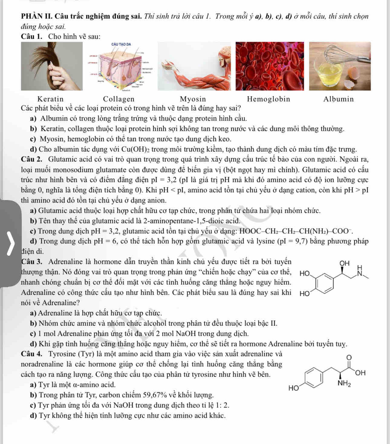 PHÀN II. Câu trắc nghiệm đúng sai. Thí sinh trả lời câu 1. Trong mỗi ý a), b), c), d) ở mỗi câu, thí sinh chọn
đúng hoặc sai.
Câu 1. Cho hình về sau:
Keratin Collagen Myosin Hemoglobin Albumin
Các phát biểu về các loại protein có trong hình vẽ trên là đúng hay sai?
a) Albumin có trong lòng trắng trứng và thuộc dạng protein hình cầu.
b) Keratin, collagen thuộc loại protein hình sợi không tan trong nước và các dung môi thông thường.
c) Myosin, hemoglobin có thể tan trong nước tạo dung dịch keo.
d) Cho albumin tác dụng với Cu(OH)_2 trong môi trường kiểm, tạo thành dung dịch có màu tím đặc trưng.
Câu 2. Glutamic acid có vai trò quan trọng trong quá trình xây dựng cấu trúc tế bào của con người. Ngoài ra,
loại muối monosodium glutamate còn được dùng để biến gia vị (bột ngọt hay mì chính). Glutamic acid có cấu
trúc như hình bên và có điểm đăng điện pI=3,2 (pI là giá trị pH mà khi đó amino acid có độ ion lưỡng cực
bằng 0, nghĩa là tổng điện tích bằng 0). Khi pH I, amino acid tồn tại chủ yếu ở dạng cation, còn khi pH>pI
thì amino acid đó tồn tại chủ yếu ở dạng anion.
a) Glutamic acid thuộc loại hợp chất hữu cơ tạp chức, trong phân tử chứa hai loại nhóm chức.
b) Tên thay thế của glutamic acid là 2-aminopentane-1,5-dioic acid.
c) Trong dung dịch pH=3,2 2, glutamic acid tồn tại chủ yếu ở dạng: Hệ OOC-CH_2-CH_2-CH(NH_2)-COO^-.
d) Trong dung dịch pH=6 , có thể tách hỗn hợp gồm glutamic acid và lysine (pI=9,7) bằng phương pháp
điện di.
Câu 3. Adrenaline là hormone dẫn truyền thần kinh chủ yếu được tiết ra bởi tuyến
thượng thận. Nó đóng vai trò quan trọng trong phản ứng “chiến hoặc chạy” của cơ thể,
nhanh chóng chuẩn bị cơ thể đối mặt với các tình huống căng thăng hoặc nguy hiểm.
Adrenaline có công thức cấu tạo như hình bên. Các phát biểu sau là đúng hay sai khi
nói về Adrenaline?
a) Adrenaline là hợp chất hữu cơ tạp chức.
b) Nhóm chức amine và nhóm chức alcohol trong phân tử đều thuộc loại bậc II.
c) 1 mol Adrenaline phản ứng tối đa với 2 mol NaOH trong dung dịch.
d) Khi gặp tình huống căng thắng hoặc nguy hiểm, cơ thể sẽ tiết ra hormone Adrenaline bởi tuyển tuy.
Câu 4. Tyrosine (Tyr) là một amino acid tham gia vào việc sản xuất adrenaline và
noradrenaline là các hormone giúp cơ thể chống lại tình huống căng thắng bằng
cách tạo ra năng lượng. Công thức cấu tạo của phân tử tyrosine như hình vẽ bên.
a) Tyr là một α-amino acid. 
b) Trong phân tử Tyr, carbon chiếm 59,67% về khối lượng.
c) Tyr phản ứng tối đa với NaOH trong dung dịch theo tỉ lệ 1:2.
d) Tyr không thể hiện tính lưỡng cực như các amino acid khác.