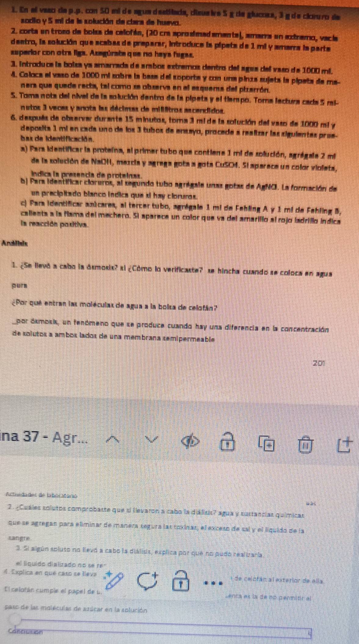 En el vaso de p.p. con 50 mi de agua destilada, dizua ive 5 g de glucosa, 3 g ds cluuro de
sodio y 5 mi de la solución de clera de huevo.
2. corta en trozo de boisa de celofés, (20 cra aprosimadamente), amara en extramo, vacía
deatro, la solución que acabas de preparar, introduce la pipeta de 1 mi y amarra la parte
superior con otra ligs. Asegúrate q ue no hays fugas.
3. Introduce la boisa ya amarrada de ambos extremos dentro del agus del vaso de 1000 mi.
4. Colaca el vaso de 1000 mi sobre la bese del soporte y con una pinza sujeta la pipeta de ma-
ners que quede recta, tel como se observa en el esquema del pizarrón.
S. Toma nota del nivel de la solución dentro de la pipeta y el tiempo. Tora lectura cada 5 rai-
nutos 3 veces y anota las décimas de millitros ascendidos.
6, después de observar durante 15 minutos, toma 3 mi de la solución del vaso de 1000 mi y
deposits 1 mi en cada uno de los 3 tubos de ensayo, procede a realizar las siguientes pros-
bas de identificación
a) Para identificar la proteina, al primer tubo que contiene 1 mi de solución, agrágala 2 mi
de la solución de NaOH, mexcia y agrege gota a gota CuSOM. Sl sparece un color violeta
índica la presencia de proteínas
bj Para identificar cloreros, al segundo tubo agrágale unas gotas de AgNCI. La formación de
un precipitado blanco indica que xi hay cloruros.
c) Para identificar axúcares, al tercer tubo, agrégale 1 mi de Fehling A y 1 mi de Fehling B,
calienta a la flama del mechero. Si aparece un color que va del amarillo al rojo ladrillo indica
la reacción positiva.
Andliis
1. ¿Se lievó a cabo la óxmoxix? xi ¿Cómo lo verificaste? se hincha cuando se coloca en agua
purs
Por qué entran las moléculas de agua a la boisa de celofán
por ósmosik, un fenómeno que se produce cuando hay una diferencia en la concentración
de solutos a ambos lados de una membrana semipermeable
201
na 37 - Ägr
*
Actuedades de tabociforió
2. ¿Cuales solutos comprobaste que si llevaron a cabo la diáisis? agua y sustancias químicas
que se agregan para eliminar de manera segura las toxinas, el exceso de sal y el liquido de la
sangre
3. Si algún soluto no Revó a cabo la dialisis, explica por que no pudo realizaría
el liquido dializado no se
4. Explica en que caso se leva de celofán al exterior de ella
T
El celotán cumple el papel de u
paso de las moléculas de azúcar en la solución
concution