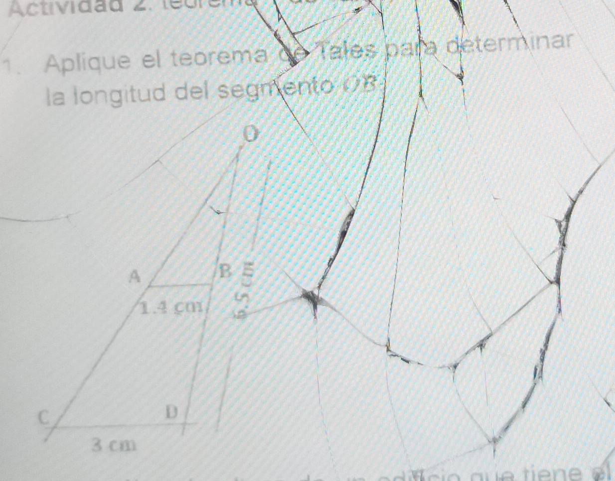 Actividad 2. le or e 
1. Aplique el teorema de Tales para determinar 
la longitud del segmento 08