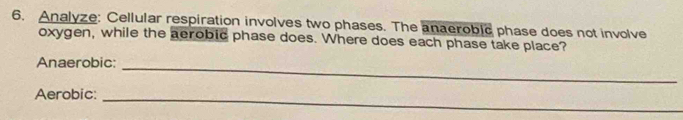 Analyze: Cellular respiration involves two phases. The anaeroblc phase does not involve 
oxygen, while the aerobic phase does. Where does each phase take place? 
Anaerobic: 
_ 
Aerobic: 
_