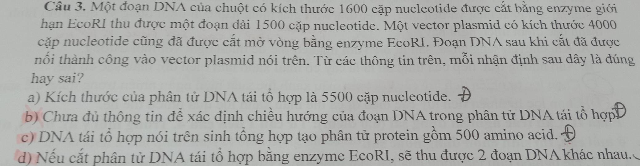 Một đoạn DNA của chuột có kích thước 1600 cặp nucleotide được cắt bằng enzyme giới
hạn EcoRI thu được một đoạn dài 1500 cặp nucleotide. Một vector plasmid có kích thước 4000
cặp nucleotide cũng đã được cắt mở vòng bằng enzyme EcoRI. Đoạn DNA sau khi cắt đã được
thối thành công vào vector plasmid nói trên. Từ các thông tin trên, mỗi nhận định sau đây là đúng
hay sai?
a) Kích thước của phân tử DNA tái tổ hợp là 5500 cặp nucleotide.
b) Chưa đủ thông tin để xác định chiều hướng của đoạn DNA trong phân tử DNA tái tổ hợp
c) DNA tái tổ hợp nói trên sinh tổng hợp tạo phân tử protein gồm 500 amino acid.
d) Nếu cắt phân tử DNA tái tổ hợp bằng enzyme EcoRI, sẽ thu được 2 đoạn DNA khác nhau..